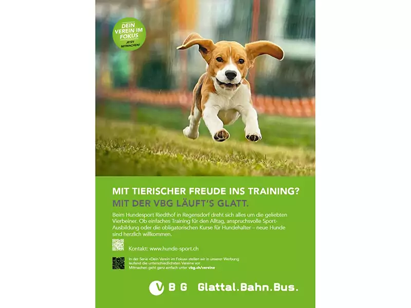 Sujet Verein im Fokus: Hundesport Riedthof