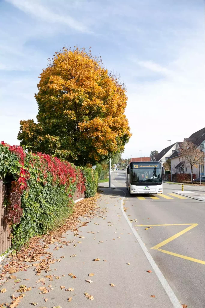 VBG-Bus im Herbst