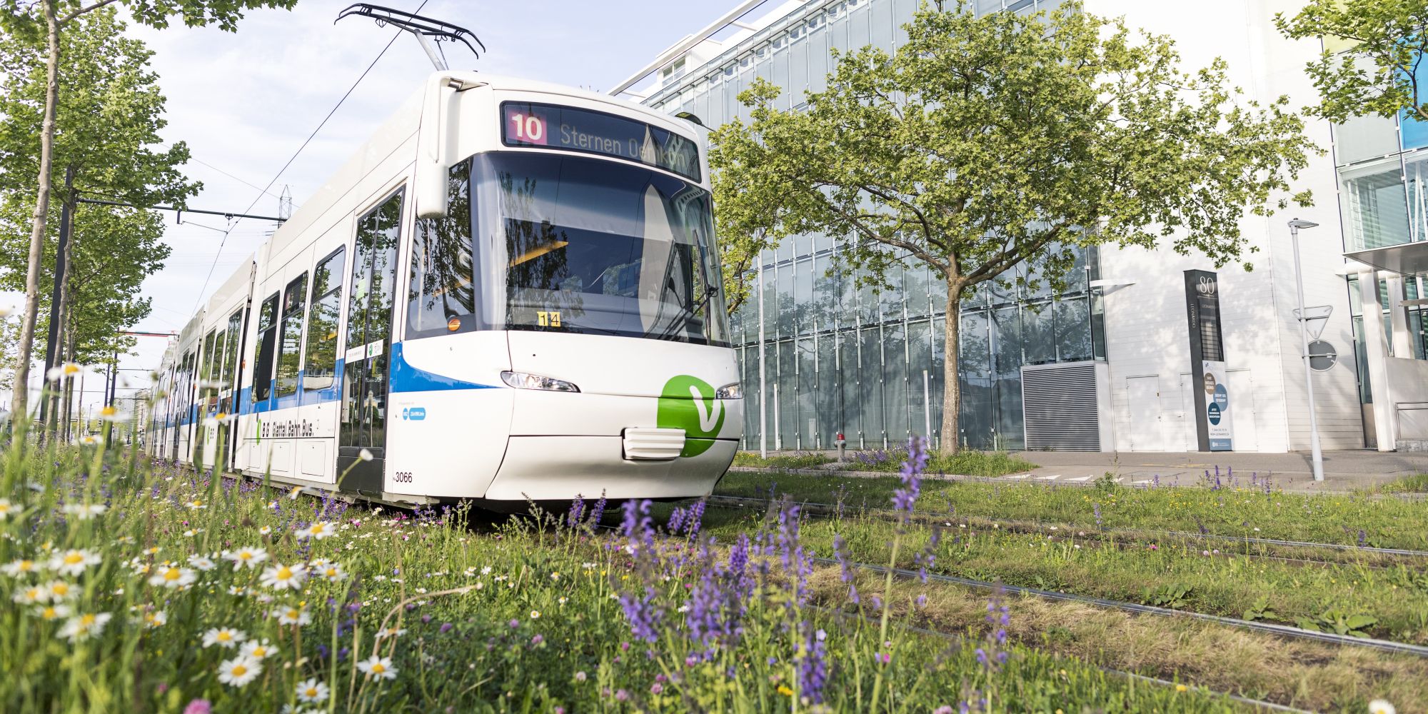 VBG-Tram der Glattalbahnlinie 10 auf dem Blumentrassee in der Thurgauerstrasse
