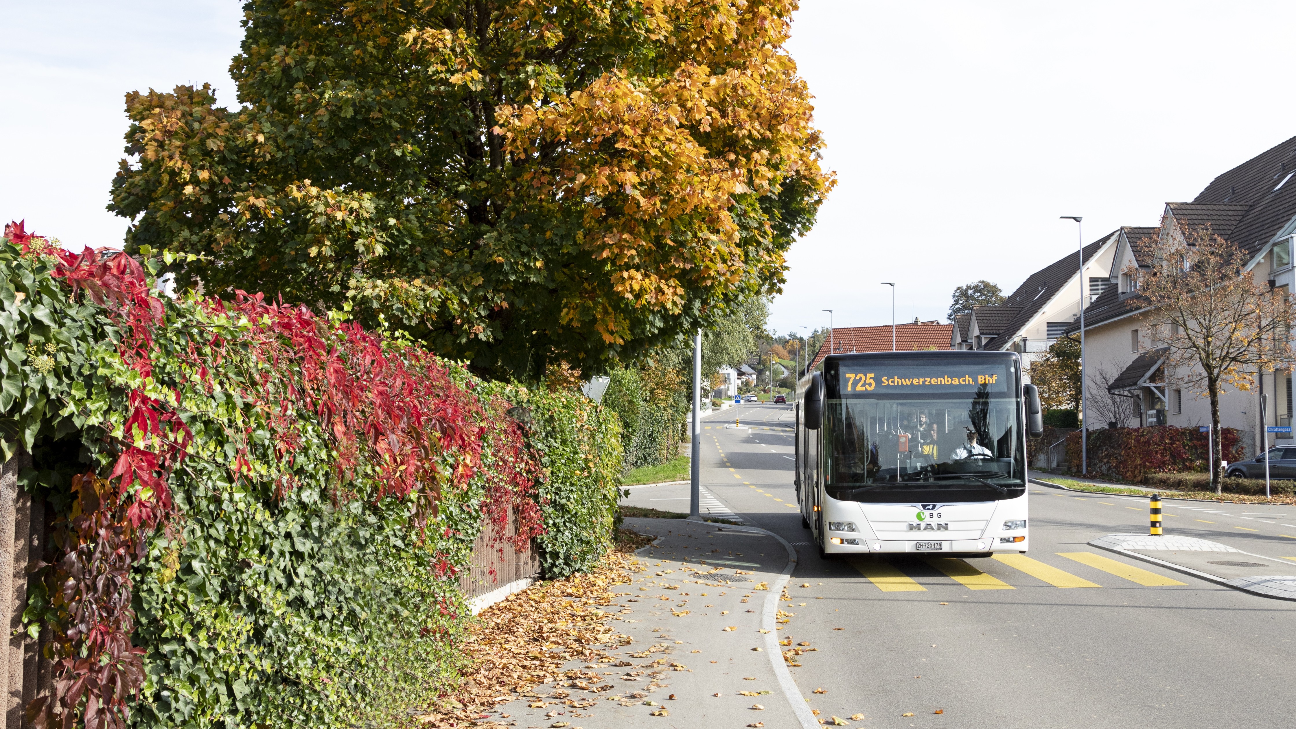 Der Bus fährt an eine Haltestelle, welche von bunten Herbstblättern an einem Baum und einer Mauer umgeben ist.